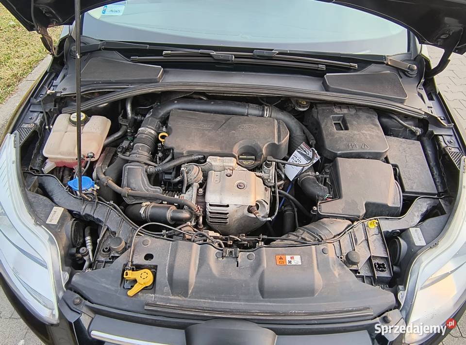 Ford Focus 2014 wielkopolskie Konin