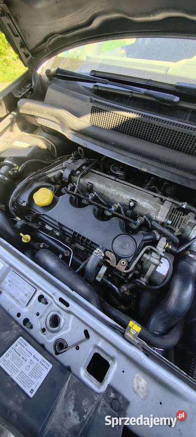 Opel Zafira B Zafira Rogów