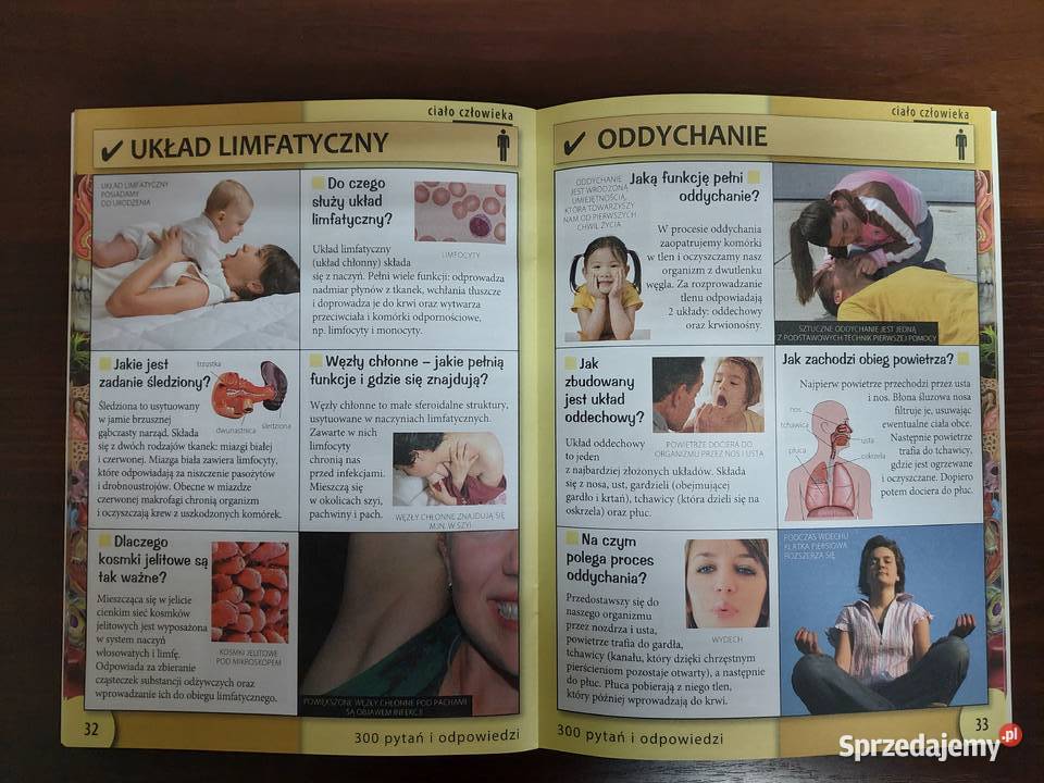 300 pytań i odpowiedzi Ciało człowieka ISBN 9788378136125 Książki dla dzieci Tarnowskie Góry