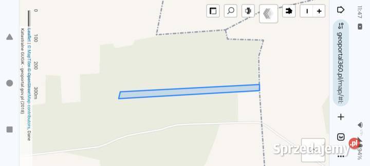 Las mieszany powiat Siedlce mazowieckie