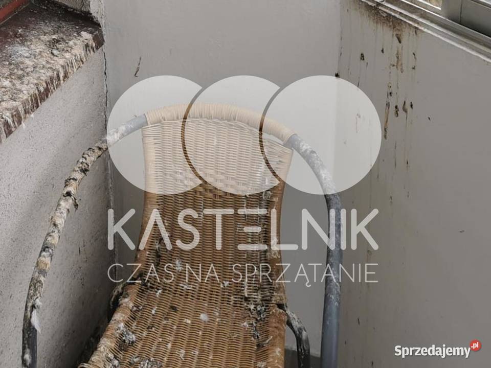 Sprzątanie gołębiach Konin Kastelnik mycie