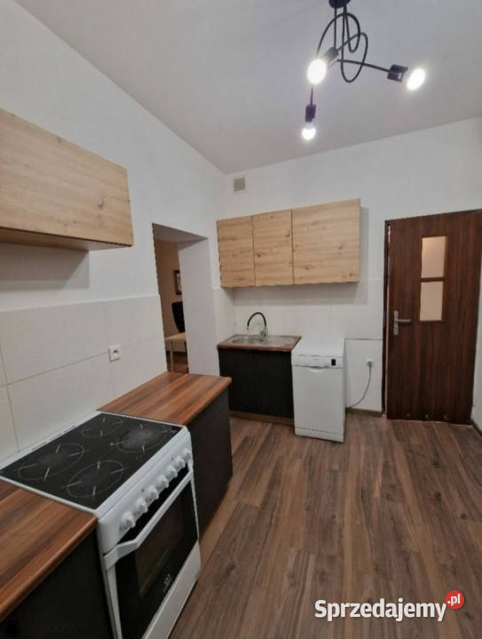 Wynajmę bezpośrednio właściciela Katowice