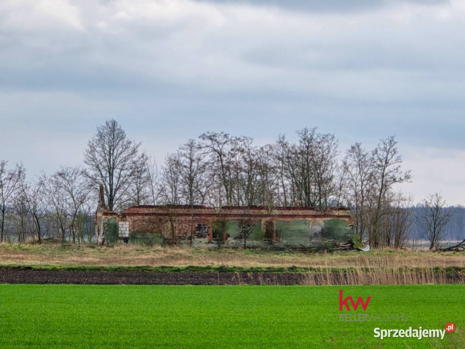 Działka 8869m2 Stara Huta dolnośląskie