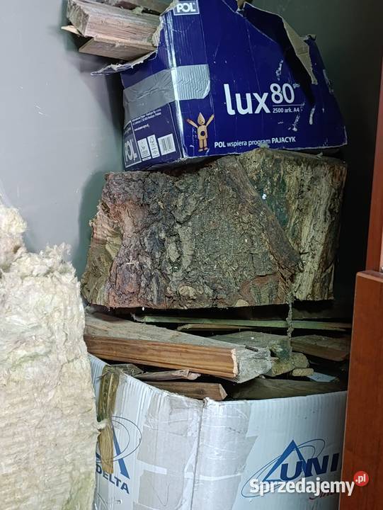 drewno drzewo pieńki sprzedam