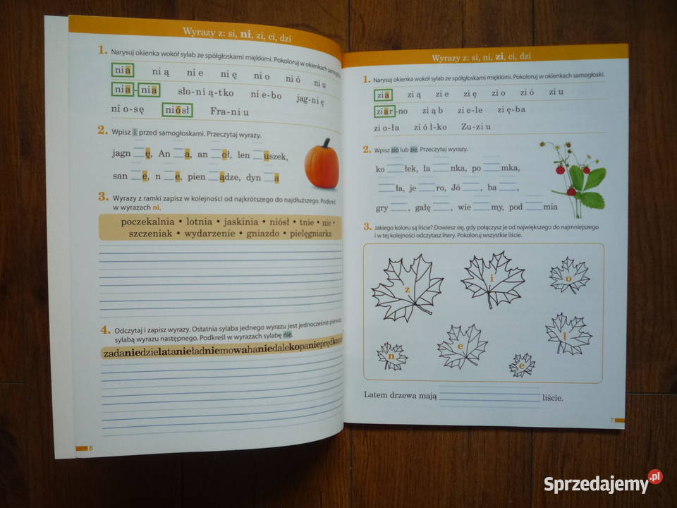 Elementarz odkrywców 2 Potyczki ortograficzne