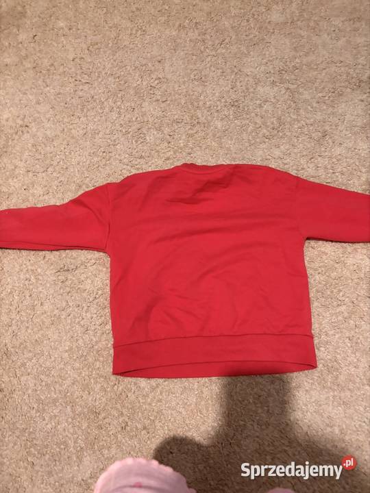 Sprzedam dziewczynka Pruszcz Gdański