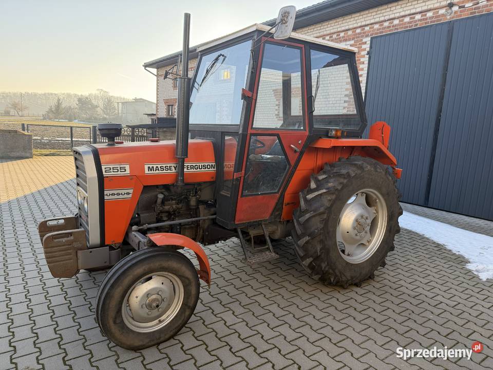 Ursus Massey Ferguson 255 1490 mtg Cedrowice-Parcela