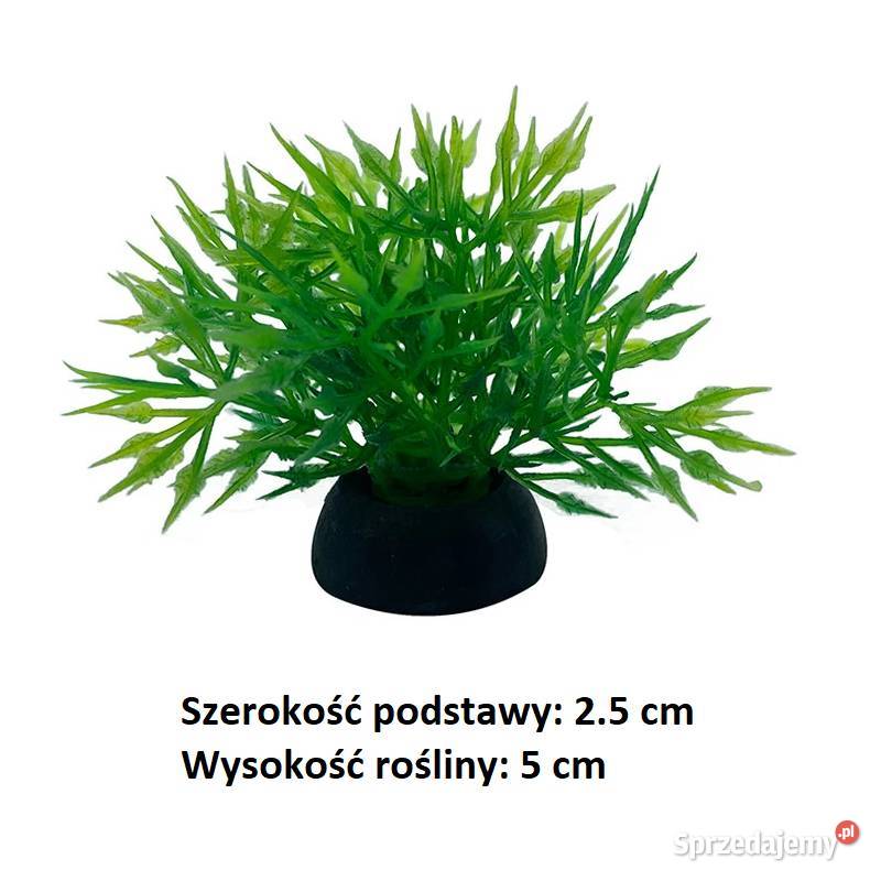 Sztuczna roślinka do akwarium Model 12 Akcesoria dla zwierząt Płock sprzedam