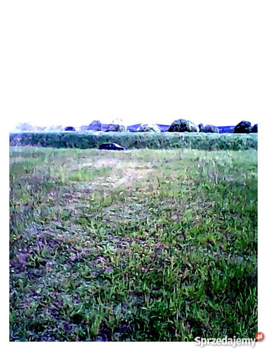 Działka budowlana Kuźnica Podleśna śląskie asfalt Warężyn