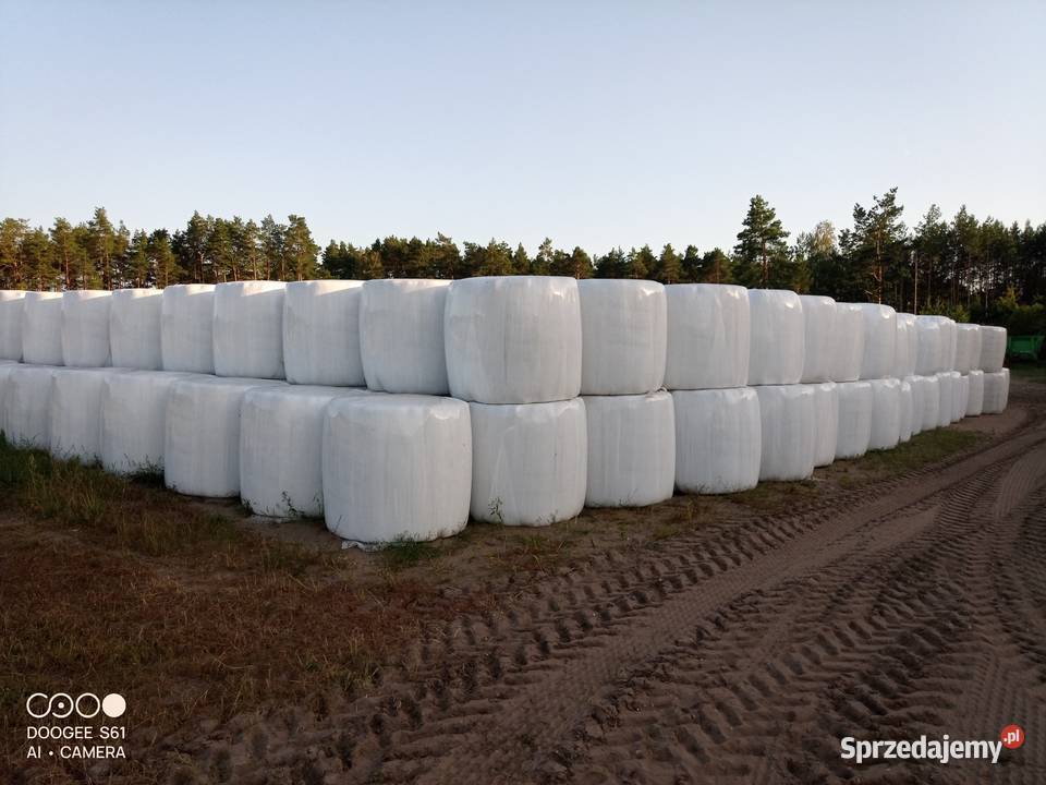 SPRZEDAM BELE SIANOKISZONKI I SIANA Zabiele Wielkie