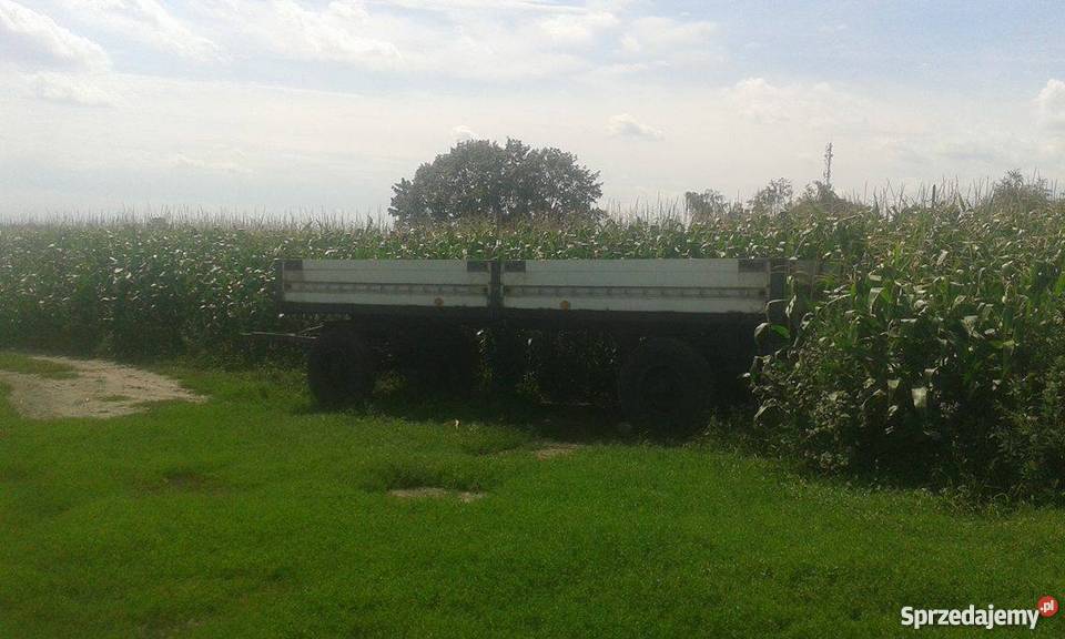 Sprzedam przyczepę Zasław d655 Kalisz