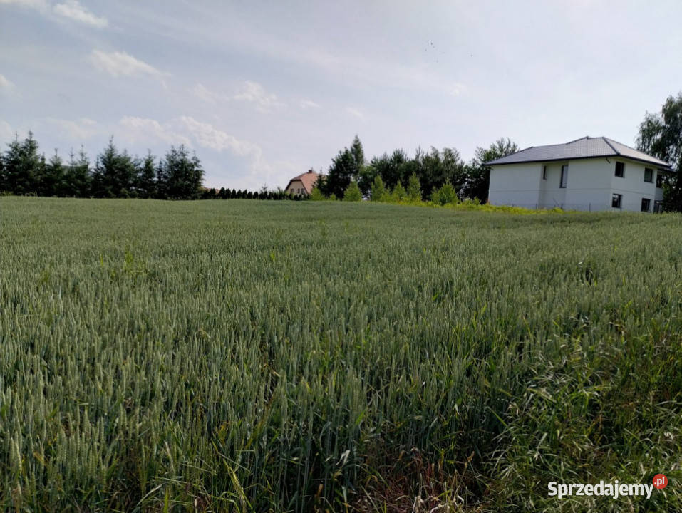 Do sprzedaży grunt 1581m2 Snopków