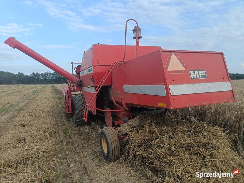 Kombajn Massey Ferguson 506 Jaświły sprzedam