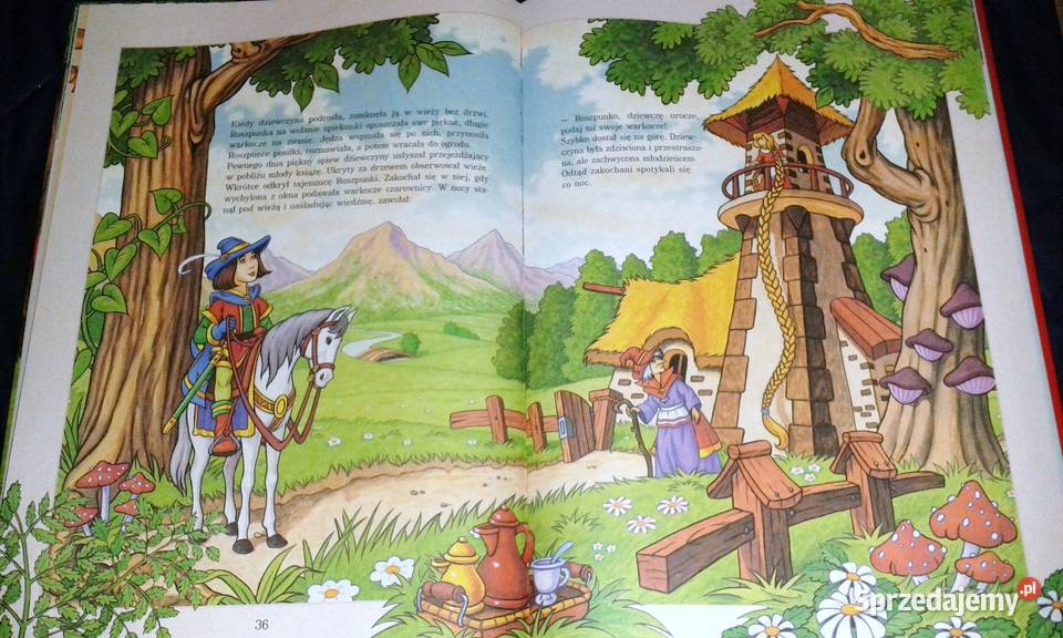 Baśnie dzieci Jacob i Wilhelm Grimm twarda Kultura i Rozrywka Chełm