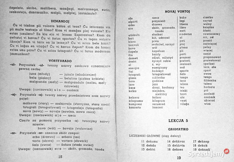 1000 słów języka esperanto Edmund i Jan Fethke Chełm