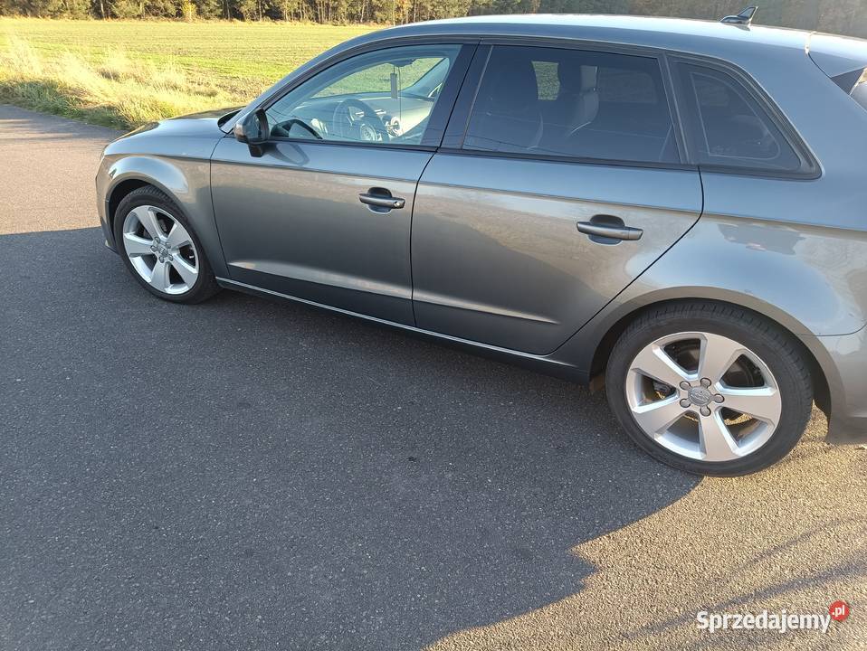 Audi A3 2013 14 tfsi Orginalny lakier Pierwszy Czosnówka
