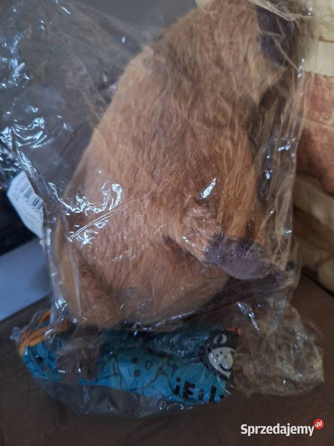 Capybara pluszak Nowy kapibara prezent mikołajki Maskotki Kalisz
