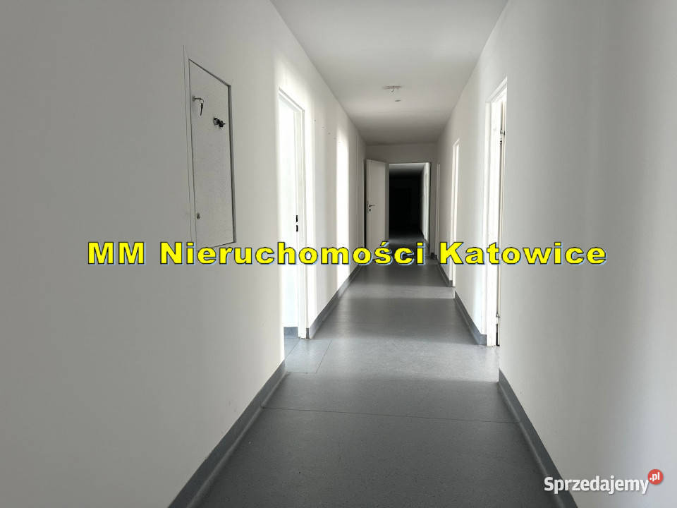 Magazyn biura i część handlowa i wystawowa do Katowice
