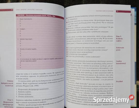 Stres mobbing i wypalenie zawodowe Swen Litzke Bełchatów