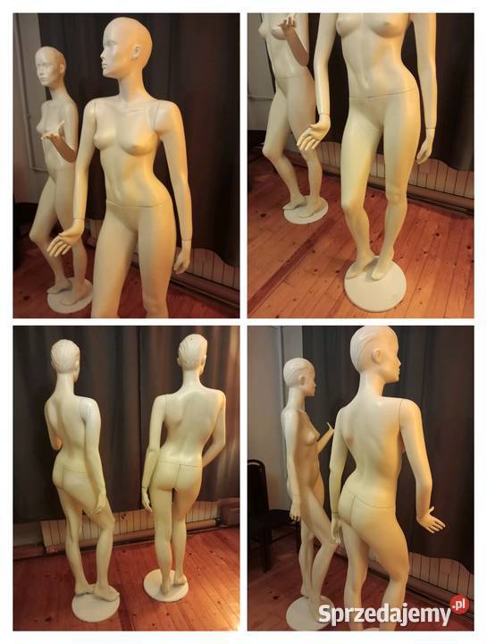 Manekiny krawieckiesklepowe zestaw 22 sztuki Jaworzno