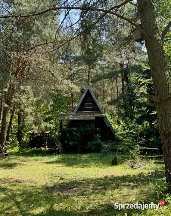 Działka 1500m2 z domkiem letniskowym w prąd Krajęczyn