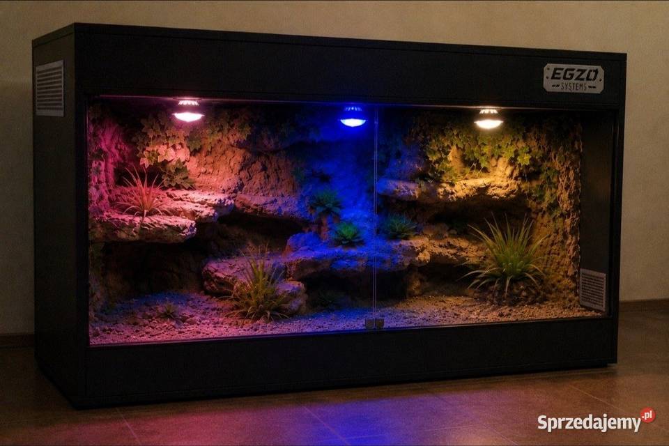 Terrarium żółwia greckiego agamy brodatej gekona Zduńska Wola