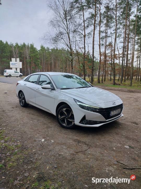 Przewozy Krajowe Przewóz osób Polsce prywatne kujawsko-pomorskie Sadki