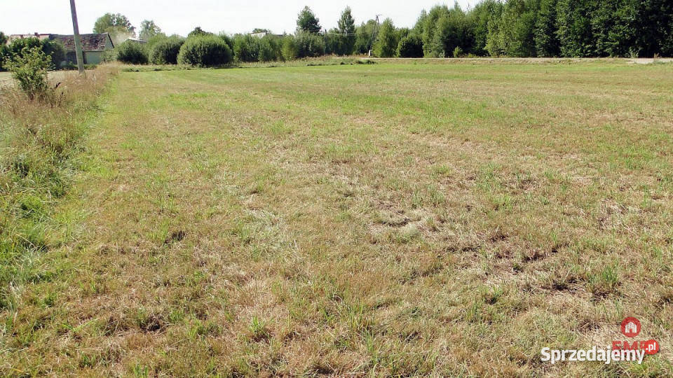 sprzedaży gruntu 1500m2 Hołówki Duże 1500m2