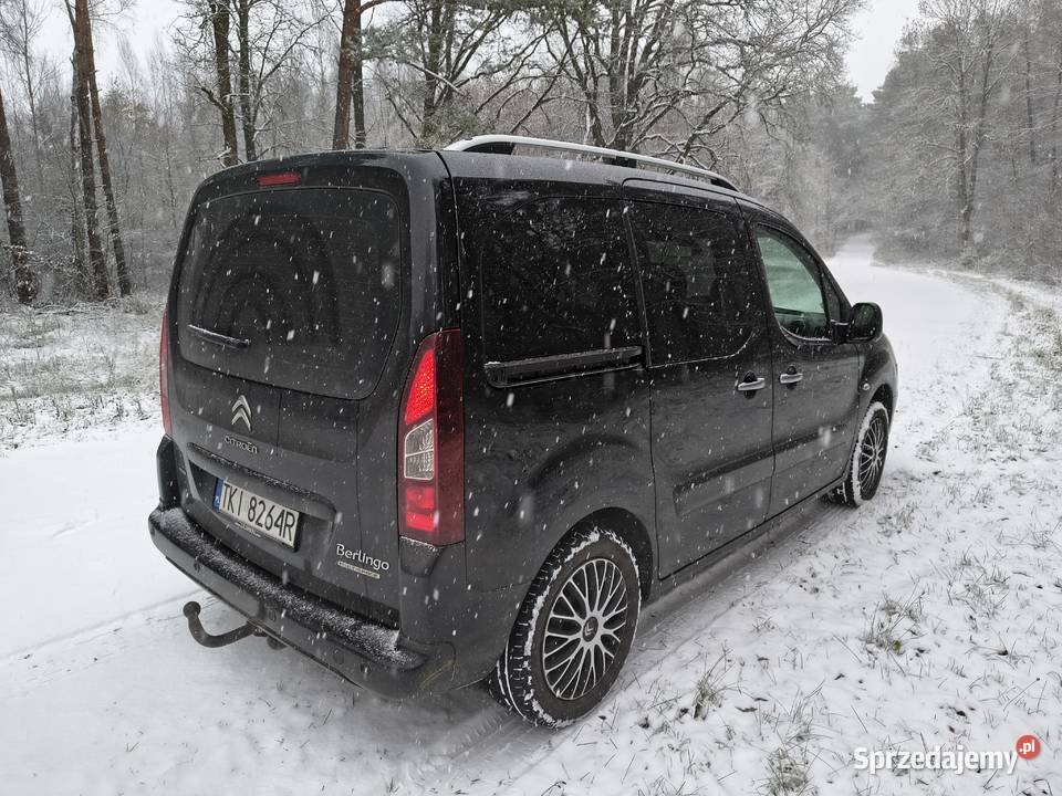 Citroen Berlingo ABS Brudzewice