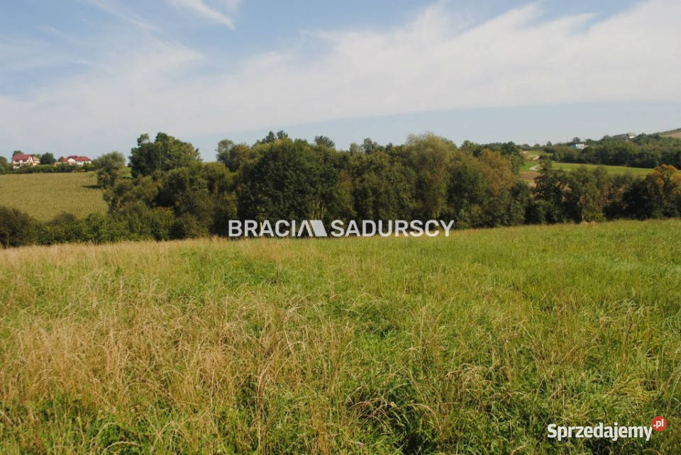 Grunt 9200m2 Gruszów Sprzedaż Grunty i działki małopolskie