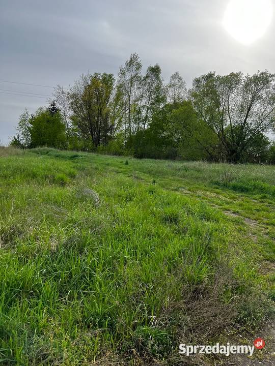 Działka drodze asfaltowej 6400m2 Sprzedaż Kolsko