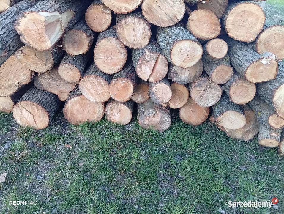 Drewno opałowe liściaste topola olcha wierzba Dom i Ogród podkarpackie Sarzyna