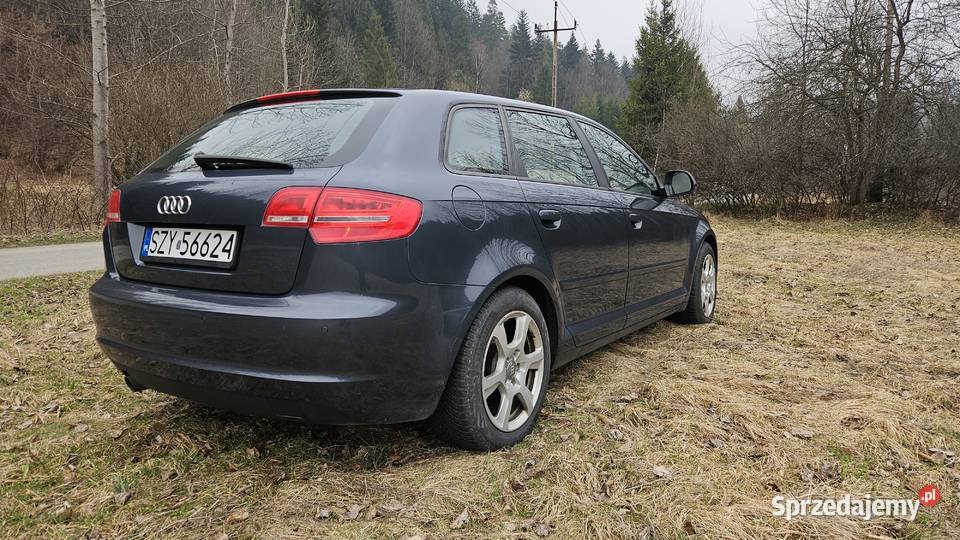 Audi A3 16 TDI Sportback DPF Ambition A3 Przyborów