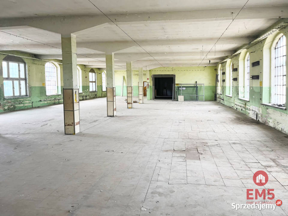 Lokal Wasilków 1300m2
