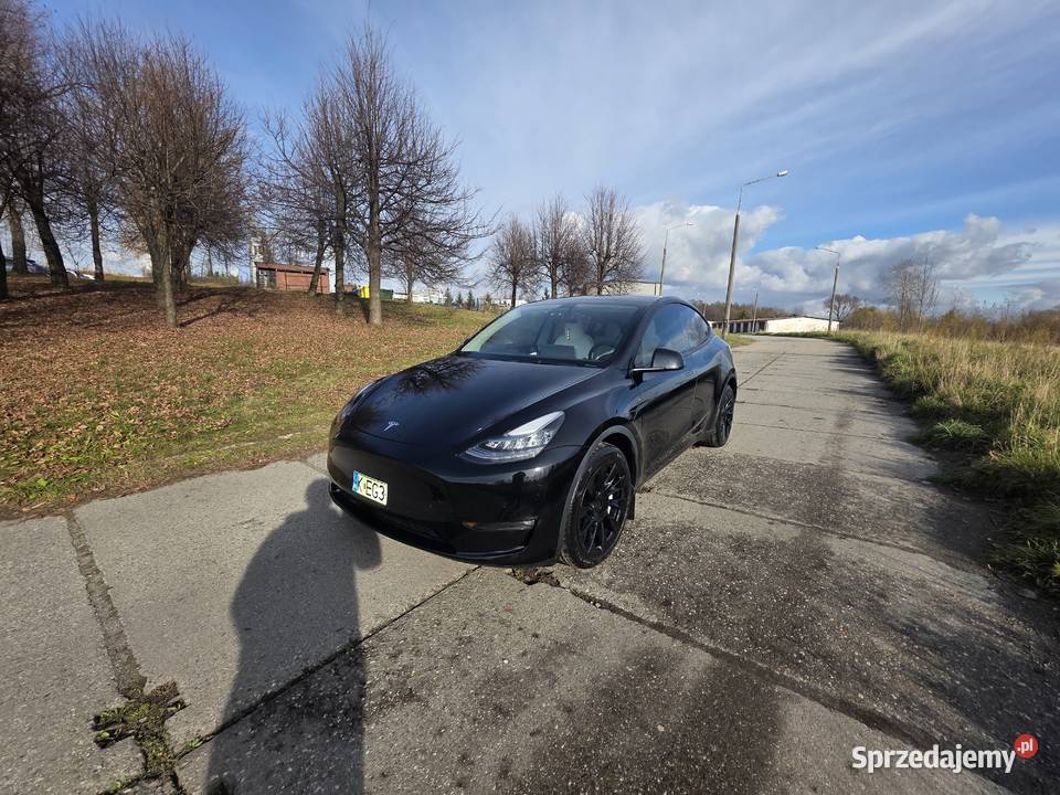 Tesla Y w wersji 534 Dual Motor AWD Model Y Chrzanów