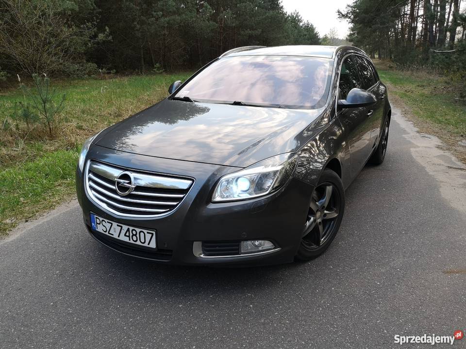 Opel Insignia Cosmo flexridezamiana Insignia wielkopolskie