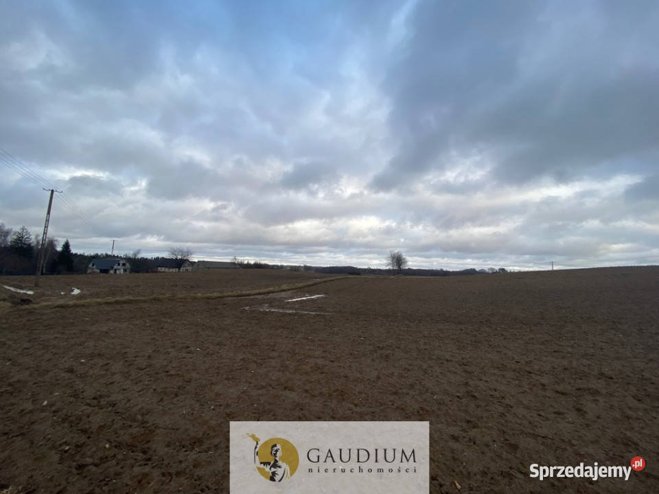 Działka w Pomieczyńskiej Hucie Sprzedaż Pomieczyńska Huta