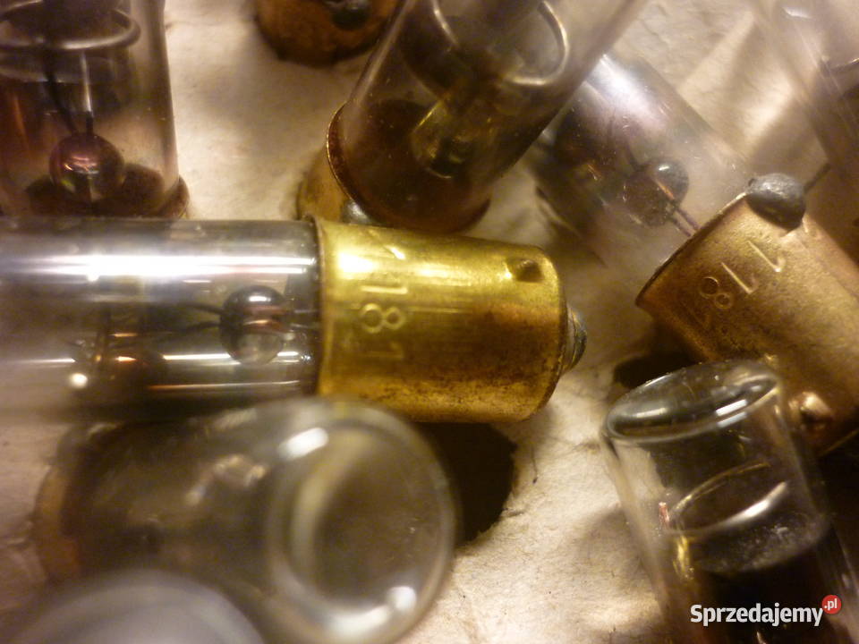 Żarówka neonowa INATN 022 Dębica