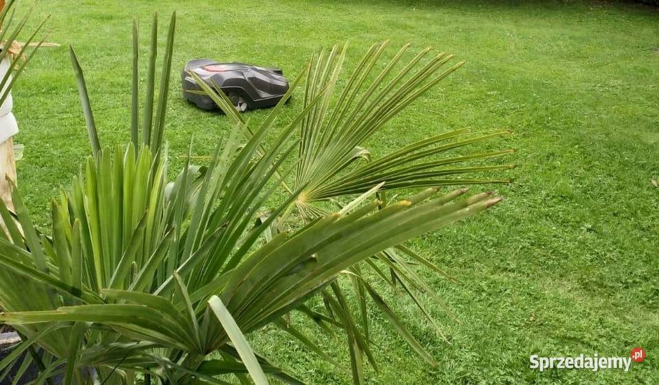 Robot Husqvarna Auto Mower 330X Deszczno