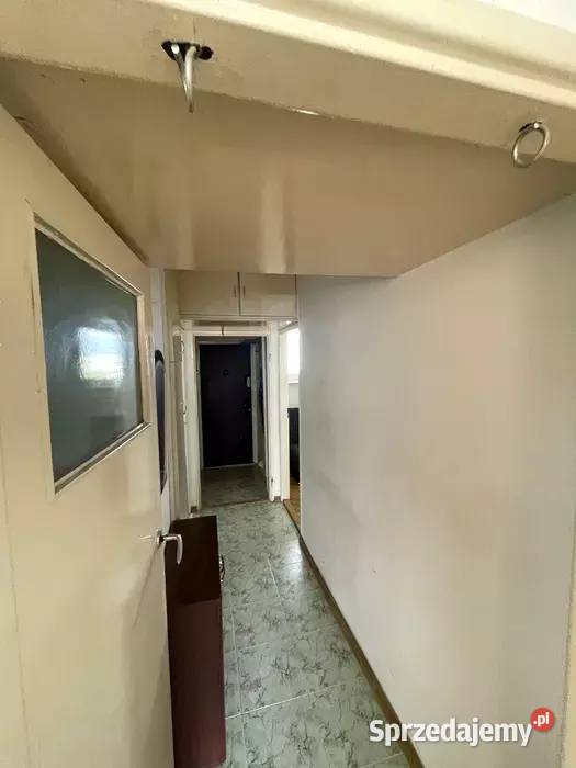 2 pokoje idealne studentów Uniwersytetu i AWF Gdańsk