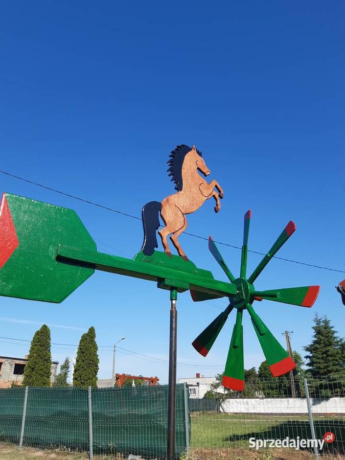 Wiatrak ogrodowy wiatrowskaz Wiatraki wielkopolskie Borzykowo