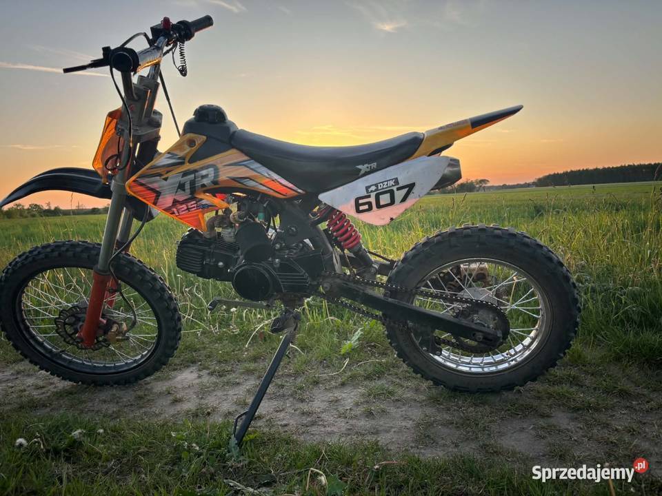 Xtr 125 zainteresowani śmiało pisać Modrzew