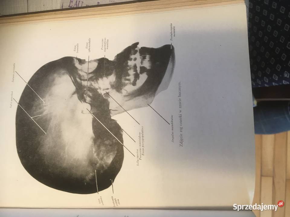 7 tomów Anatomii człowiekaunikalne wydanie Kraków sprzedam