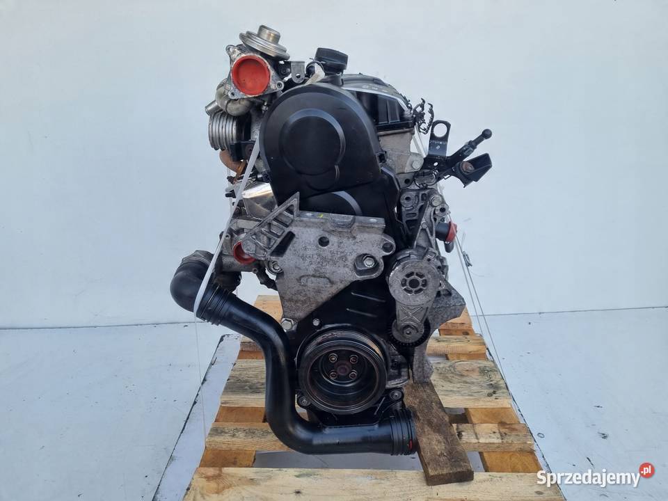 SILNIK KOMPLET Audi A3 II 8P 19 TDI 105 ładnie Janów