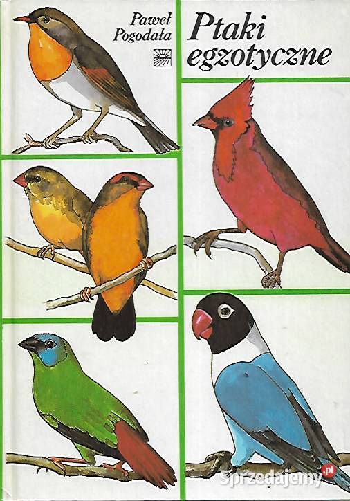 Ptaki egzotyczne P Pogodała Puławy