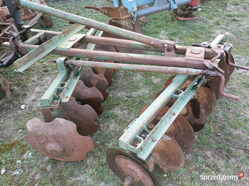 Brona talerzowa Brony łódzkie Drzewica