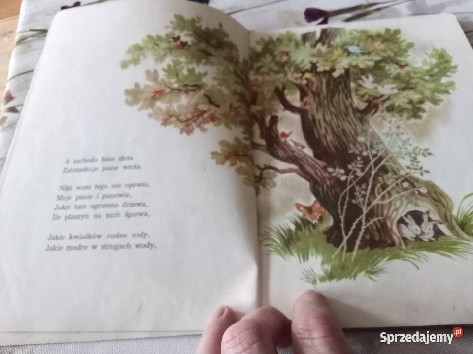 PRL książka Konopnicka Na jagody 1969 łódzkie Łódź