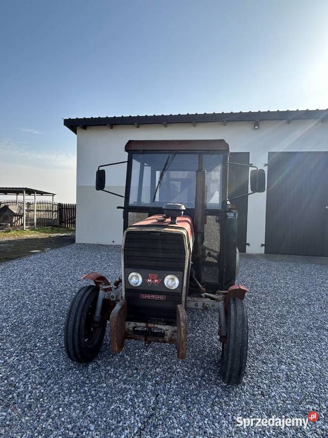 Ursus Massey Ferguson MF 255 Krowica Zawodnia
