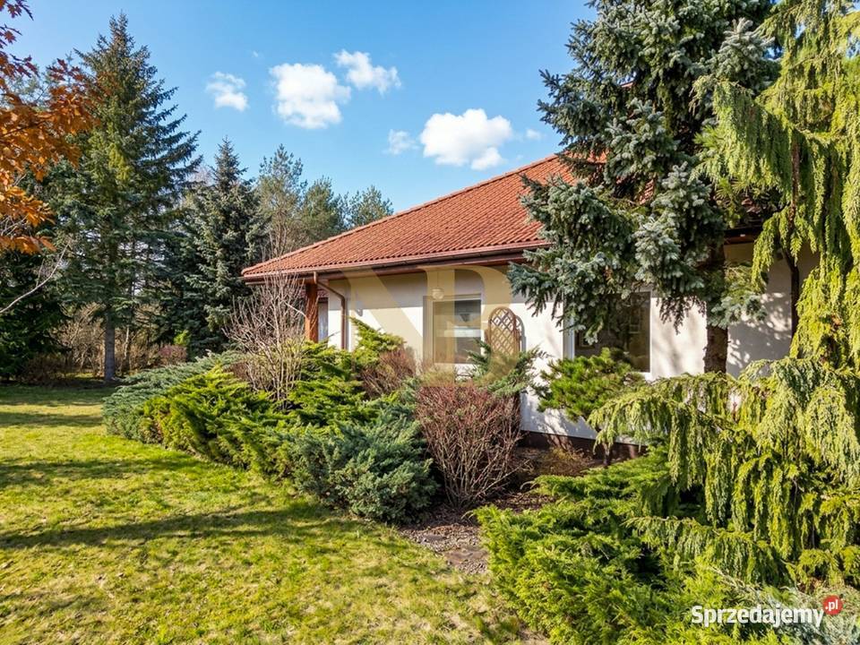 Parterowa willa z furtką do lasu 35minut Czarny Las