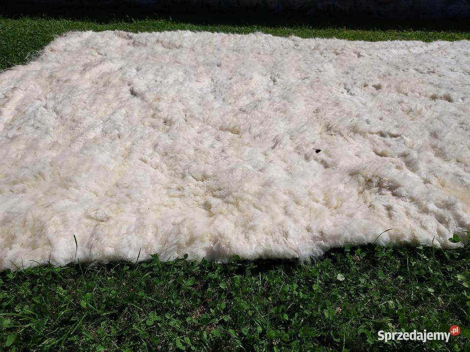 Dywan Narzuta XXXL Skróa Owcza Naturalna Dywan Dywany
